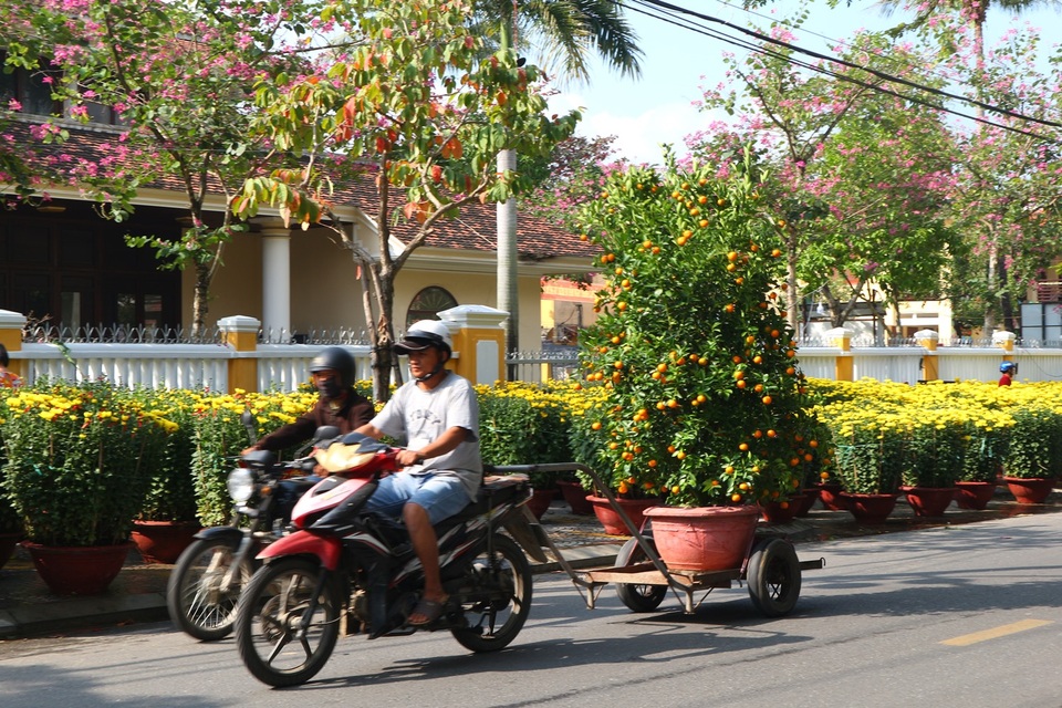 Quảng Nam: Những nghề “hot” dịp cận Tết - 6 Quảng Nam: Những nghề “hot” dịp cận Tết - 6