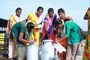 Bên trong thị trấn đặc biệt dành riêng cho phụ nữ chuyển giới ở Ấn Độ