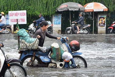 TPHCM: Cuộc sống đảo lộn vì mưa và triều cường