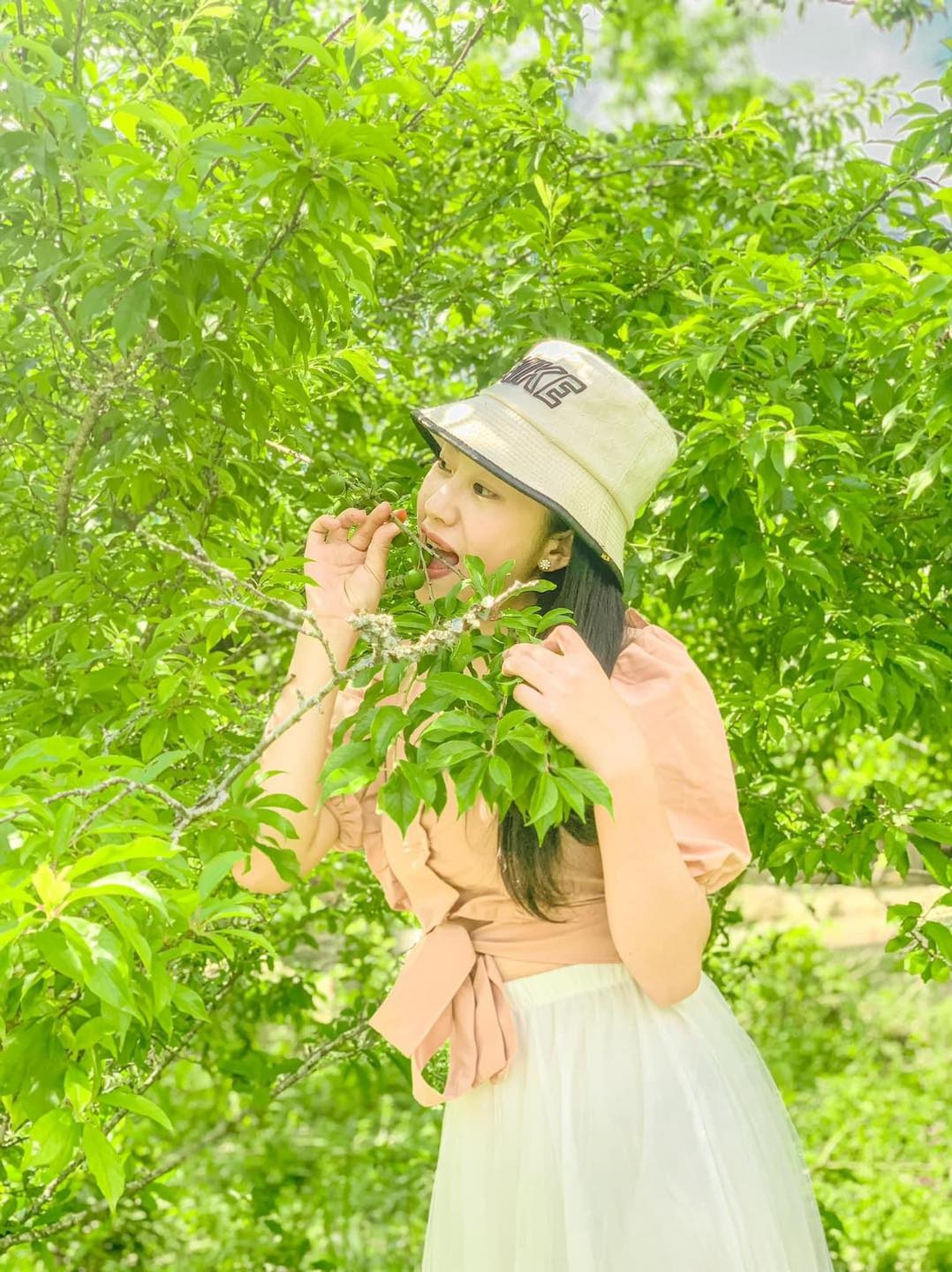 mận 17.jpg mận 17.jpg