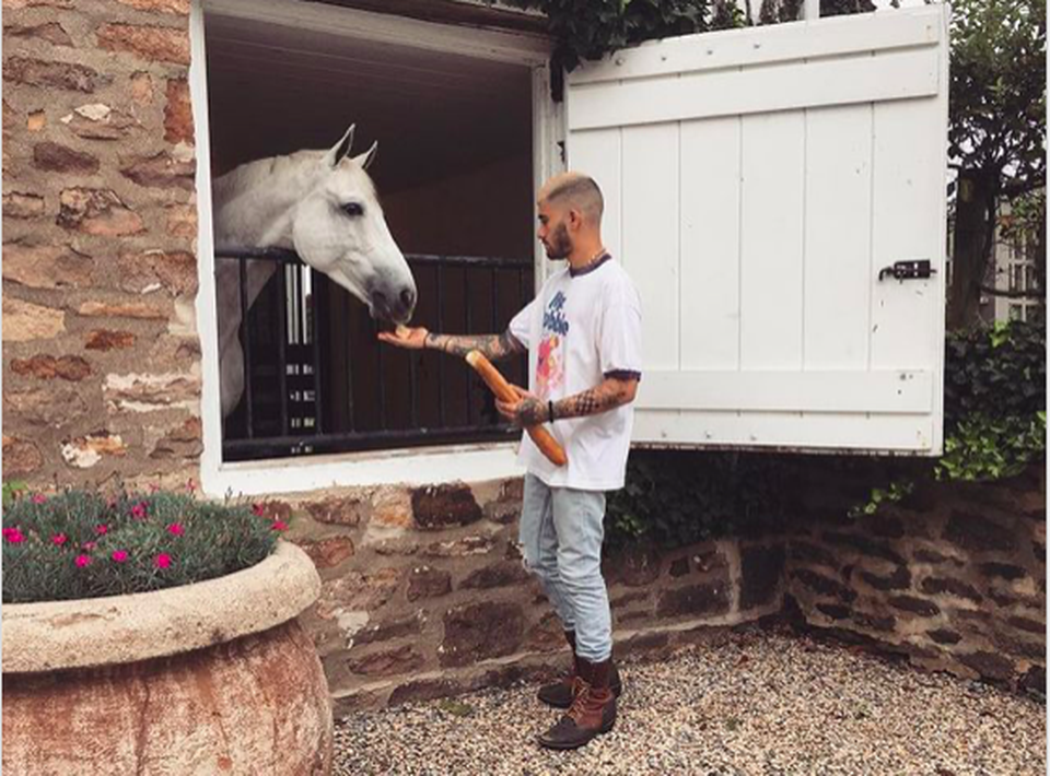 Những sự thật thú vị về cặp đôi Zayn Malik và Gigi Hadid - 5 Những sự thật thú vị về cặp đôi Zayn Malik và Gigi Hadid - 5
