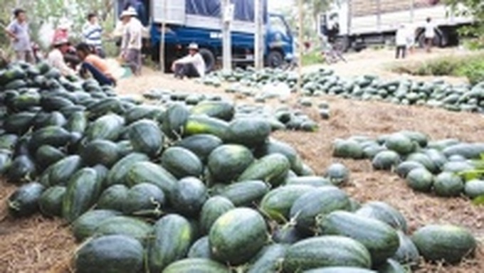 Trà Vinh:Chung tay chăm lo cho người nghèo