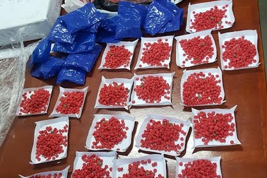 Bắt đối tượng mua bán gần 4000 viên ma túy tổng hợp