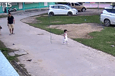 Chú chó phản ứng nhanh cứu em bé khỏi tình huống nguy hiểm