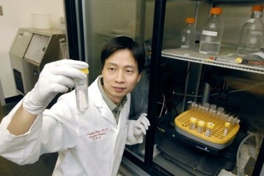 Hạt nano có thể được sử dụng để khắc phục bệnh ung thư vú kháng trị