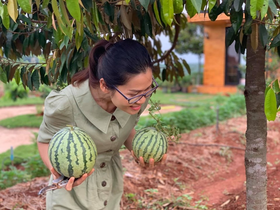 Chi tiền tỷ mua mảnh đất ngoại ô, vợ chồng ở Sài Gòn “trồng hoa, nuôi gà” - 4 Chi tiền tỷ mua mảnh đất ngoại ô, vợ chồng ở Sài Gòn “trồng hoa, nuôi gà” - 4