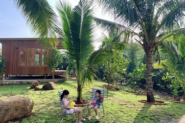 Nhà vườn "đổi gió" rộng 4.000m2 của ông bố Sài Gòn dành tặng vợ con