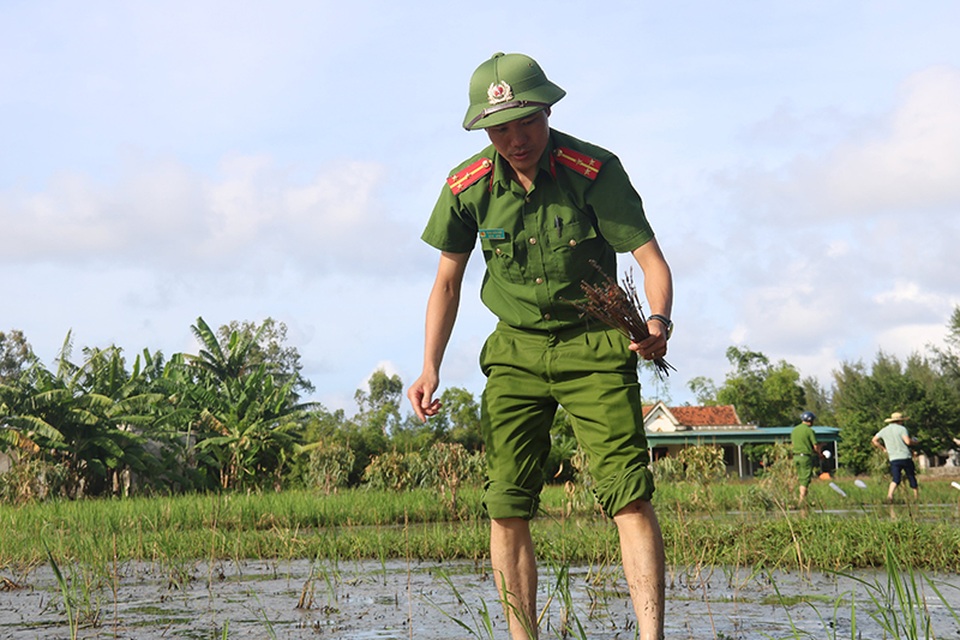Truy quét, tháo dỡ “thiên la địa võng” tận diệt chim trời - 11