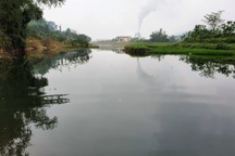 Cả khúc sông đen như mực nghi do nhà máy chế biến gỗ xả thải