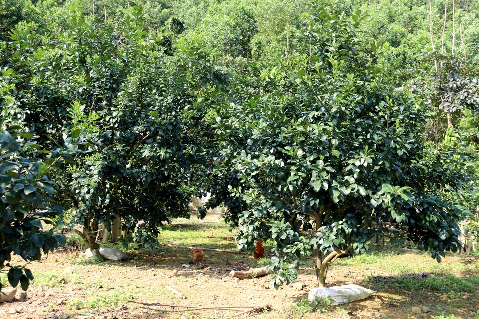 Ngày mới ở bản Rào Tre - 3 Ngày mới ở bản Rào Tre - 3