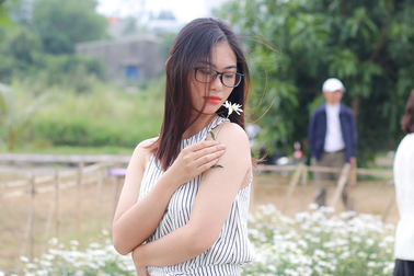 Du khách hào hứng “check – in” vườn cúc hoạ mi đầu tiên tại Đà Nẵng