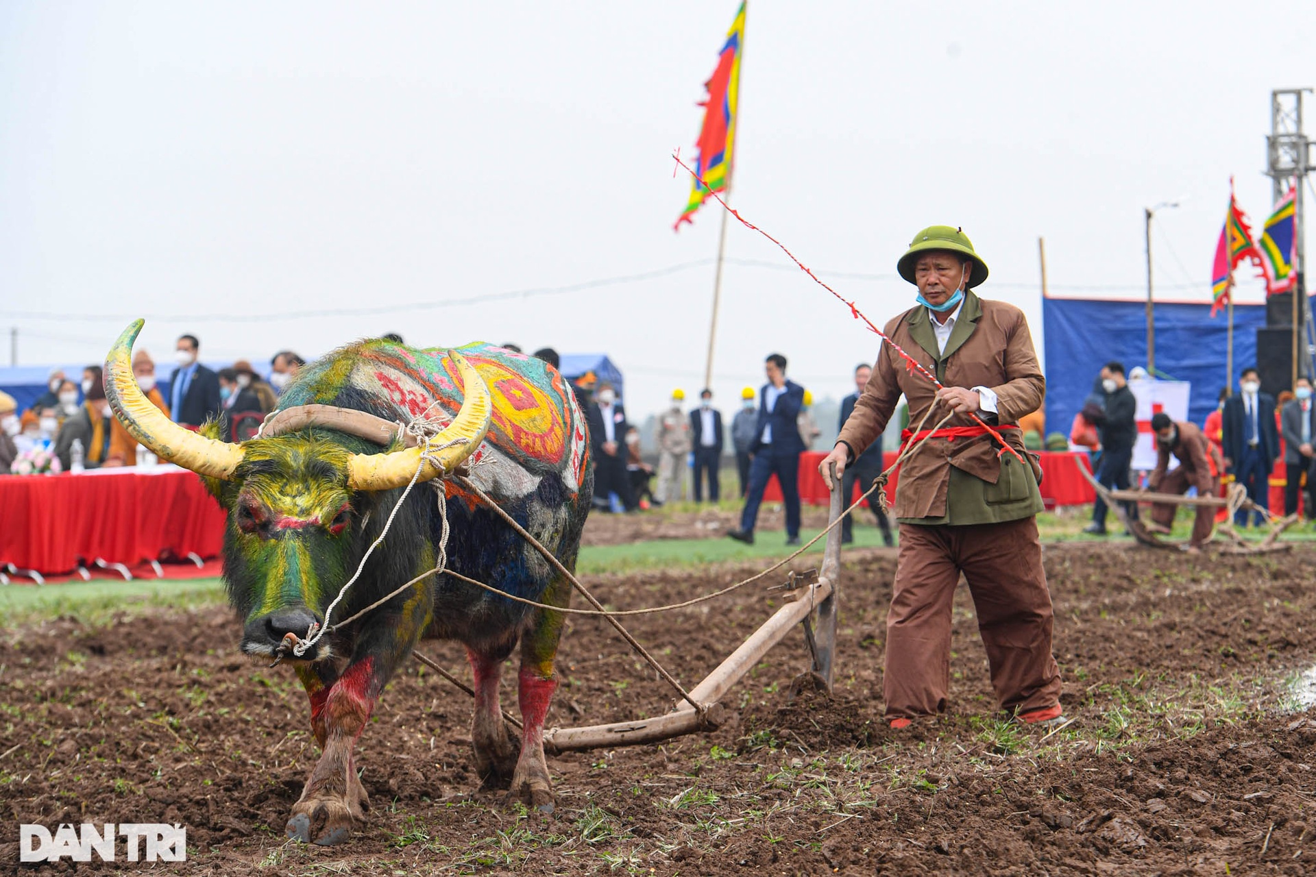 Chủ tịch nước lội ruộng, dắt trâu đi cày đầu năm ở lễ hội Tịch điền - 17 Chủ tịch nước lội ruộng, dắt trâu đi cày đầu năm ở lễ hội Tịch điền - 17