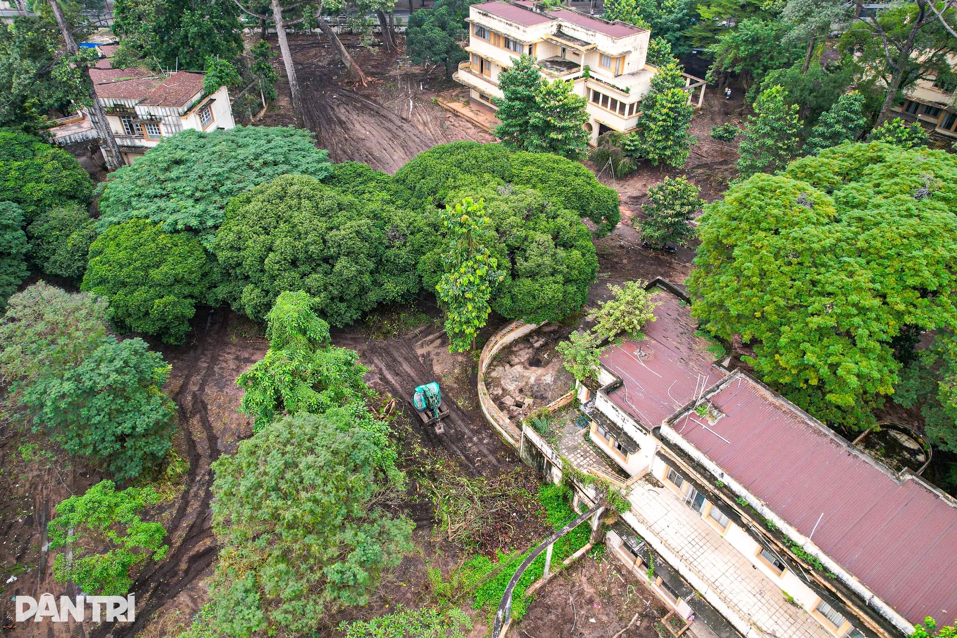 Khu biệt thự của “vua nhà đất” Sài Gòn xưa sắp thành đài tưởng niệm - 8