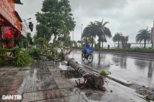 Bão số 2 vào ven biển Quảng Ninh - Hải Phòng