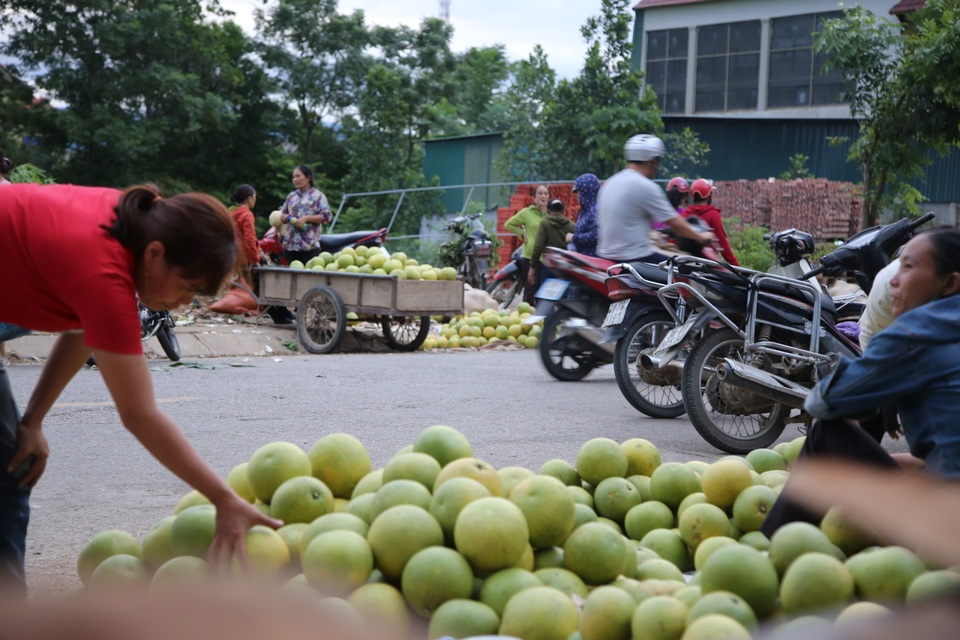 Soi đèn đi chợ bưởi lúc đêm khuya - 1 Soi đèn đi chợ bưởi lúc đêm khuya - 1