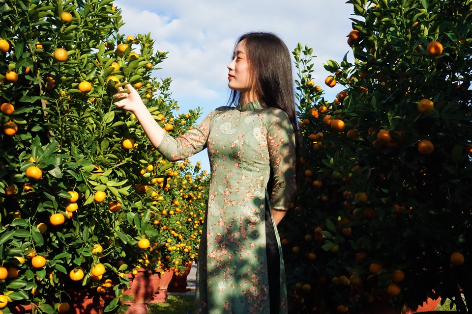 Người dân náo nức check in Tết sớm ở chợ hoa xuân Đà Nẵng - 5 Người dân náo nức check in Tết sớm ở chợ hoa xuân Đà Nẵng - 5