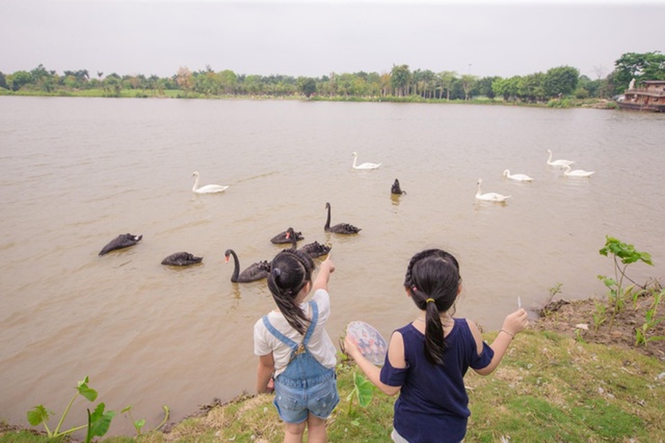 Chán nội đô khói bụi, cặp vợ chồng trẻ Hà Nội bán nhà ra ven đô sống xanh” - 4 Chán nội đô khói bụi, cặp vợ chồng trẻ Hà Nội bán nhà ra ven đô sống xanh” - 4