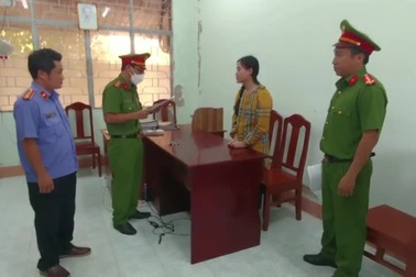 Khởi tố, bắt tạm giam Tina Dương