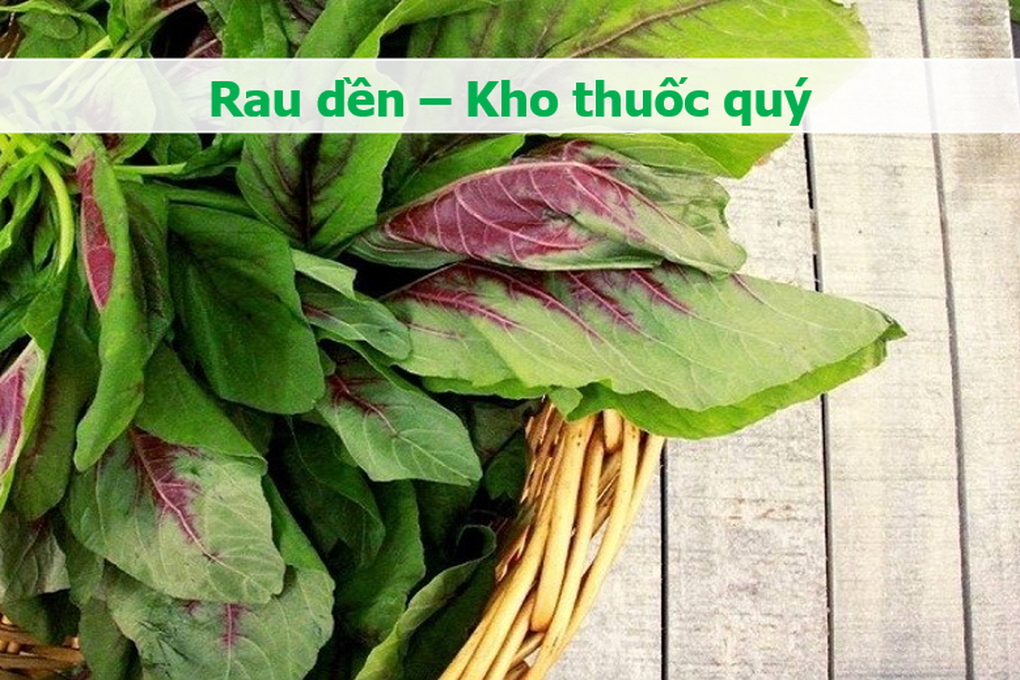 Loại rau đang vào mùa là thuốc quý ngừa bệnh tim, quét sạch mỡ xấu - 1 Loại rau đang vào mùa là thuốc quý ngừa bệnh tim, quét sạch mỡ xấu - 1