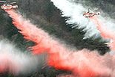 Ảnh đẹp trong tuần