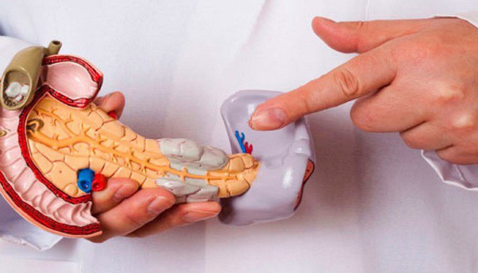 Căn bệnh ung thư tụy cố nhạc sĩ Phó Đức Phương mắc phải nguy hiểm thế nào? - 1 Căn bệnh ung thư tụy cố nhạc sĩ Phó Đức Phương mắc phải nguy hiểm thế nào? - 1