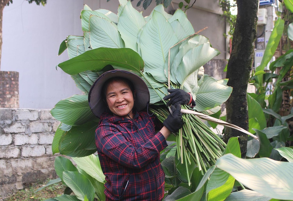 Hồ hởi thu hoạch ngọc xanh, dân Hà Nội kiếm tiền triệu mỗi ngày dịp Tết - 6 Hồ hởi thu hoạch ngọc xanh, dân Hà Nội kiếm tiền triệu mỗi ngày dịp Tết - 6