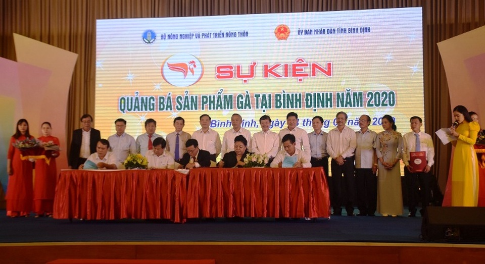 Chuyên gia hiến kế đưa gà ta xuất ngoại - 6 Chuyên gia hiến kế đưa gà ta xuất ngoại - 6