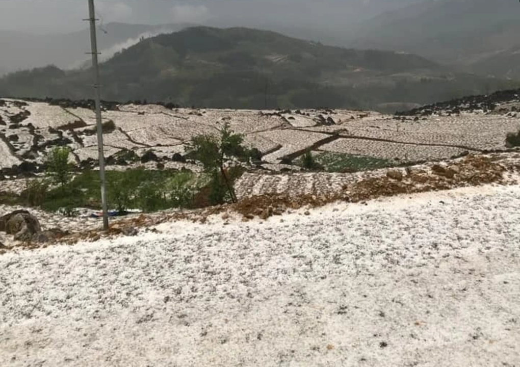 Mưa đá ở Hà Giang và Sơn La gây thiệt hại hoa màu của người dân - 2 Mưa đá ở Hà Giang và Sơn La gây thiệt hại hoa màu của người dân - 2