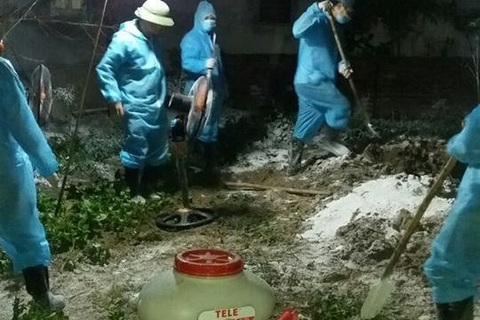 Dịch tả lợn Châu Phi tiếp tục lây lan đến TP. Thanh Hóa