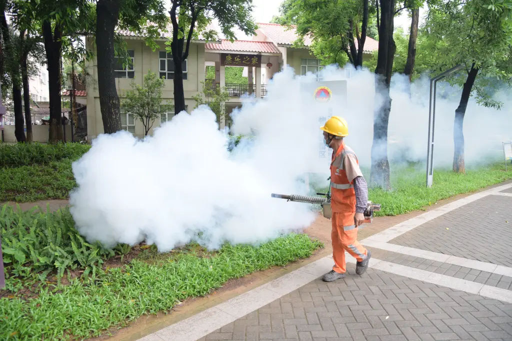 Trung Quốc nỗ lực ngăn chặn dịch Chikungunya - 1