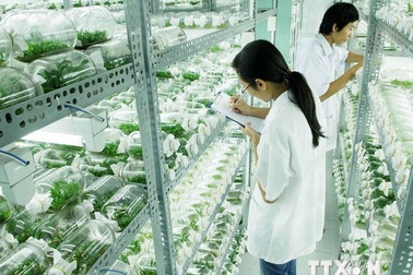 Thúc đẩy chuyển giao công nghệ của Israel vào Việt Nam