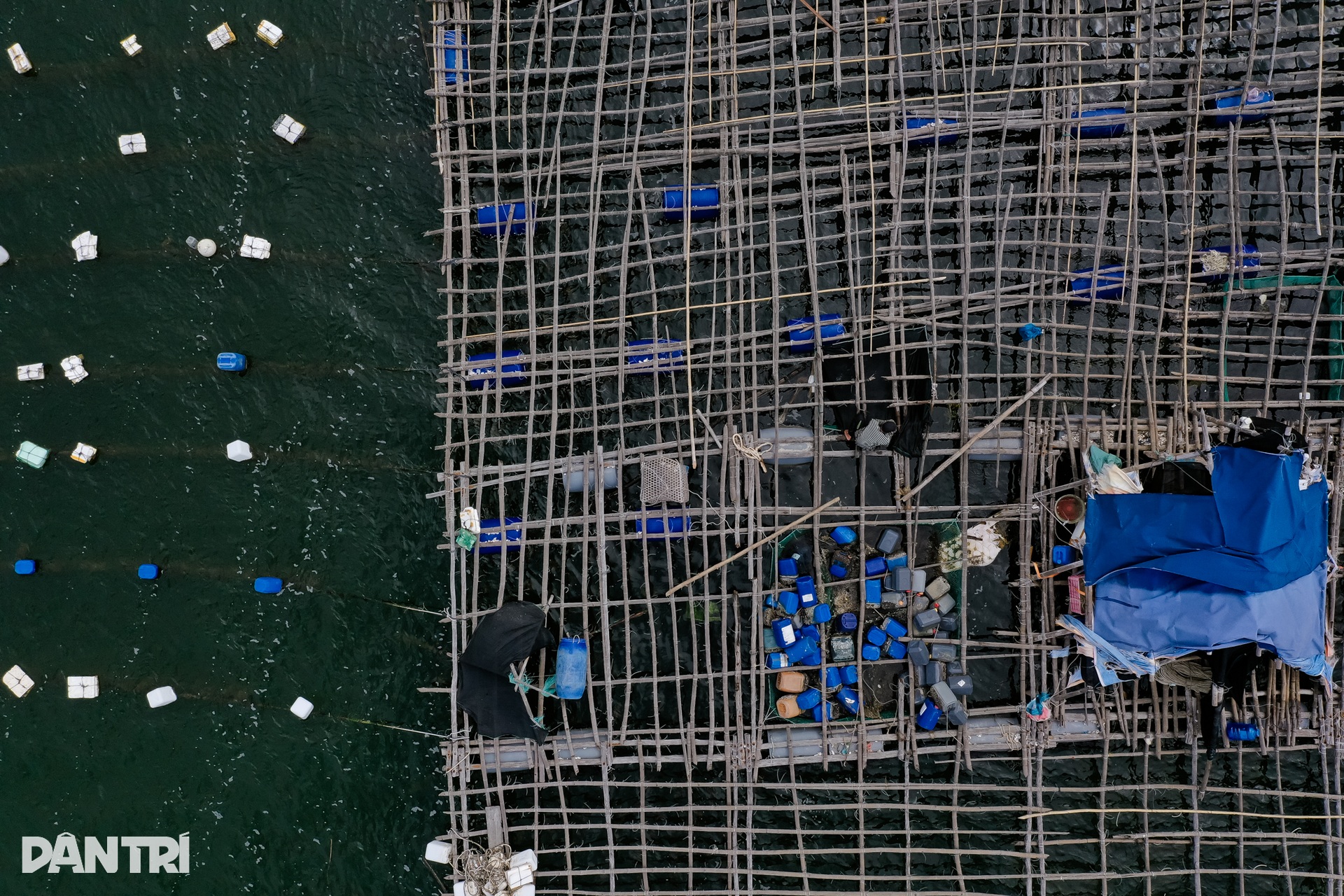 Ngư dân thủ phủ tôm hùm Việt Nam hối hả thu hoạch chạy bão Kalmaegi  - 11