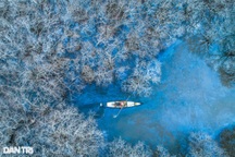 Đẹp nao lòng mùa thu tại rừng nước mặn chuyển màu lạ kỳ xứ Huế