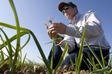 Nông dân Mỹ “kêu cứu” !