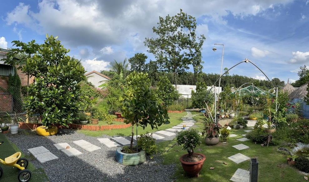 Chi 10 triệu đồng, vợ chồng Bình Dương biến đất cằn thành khuôn viên xanh - 8 Chi 10 triệu đồng, vợ chồng Bình Dương biến đất cằn thành khuôn viên xanh - 8