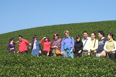 Mộc Châu vừa làm du lịch đã bị "lai căng"