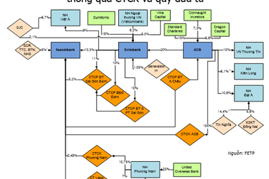 "Hoa mắt" với ma trận sở hữu chéo ngân hàng Việt Nam
