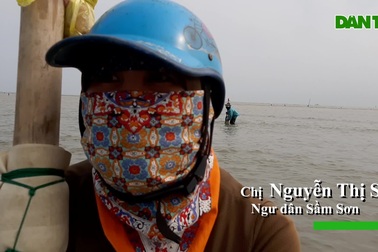 Nghề đi giật lùi nơi cửa biển