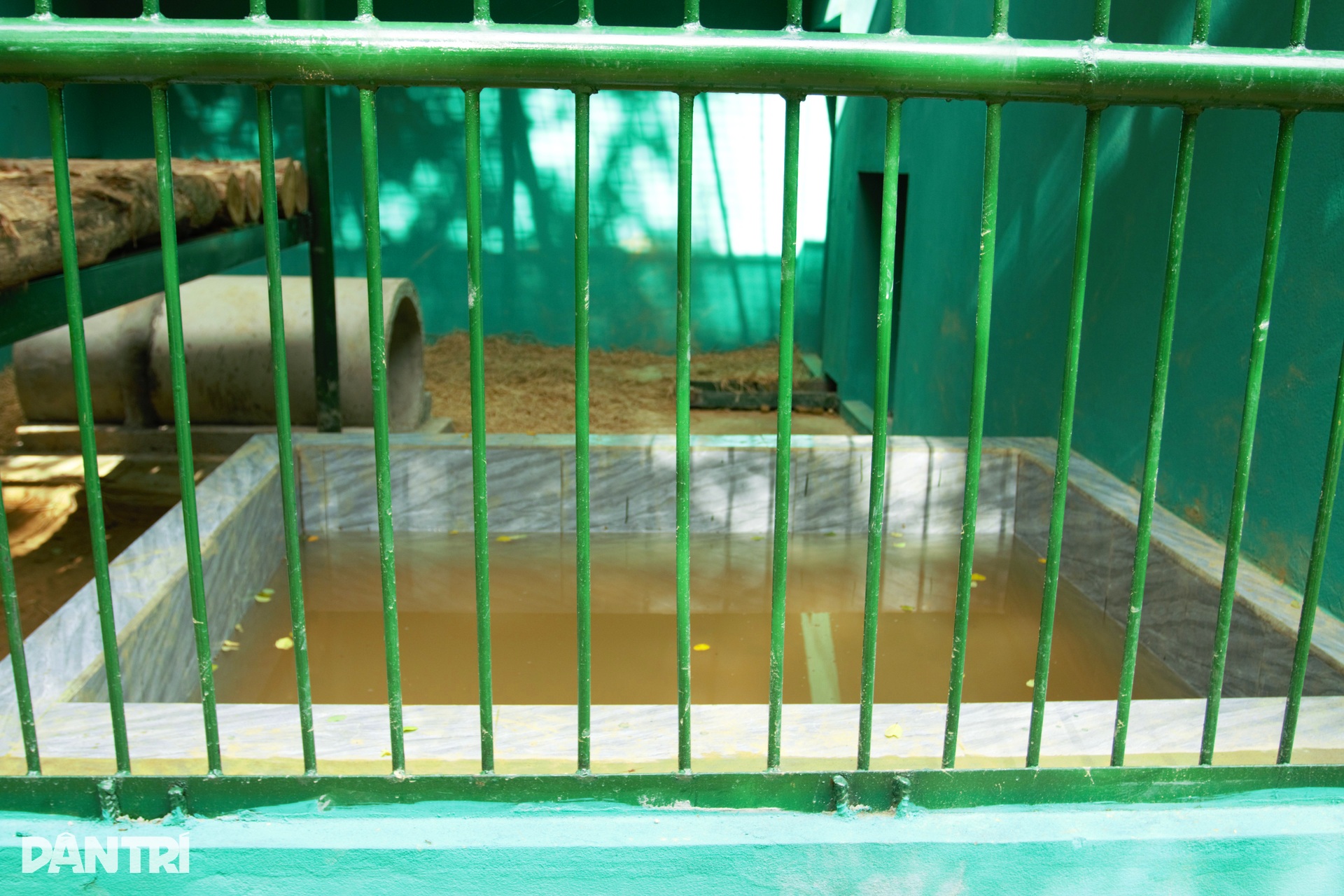 Ngôi nhà mới của 7 chú hổ giữa rừng nguyên sinh Phong Nha - Kẻ Bàng - 12 Ngôi nhà mới của 7 chú hổ giữa rừng nguyên sinh Phong Nha - Kẻ Bàng - 12