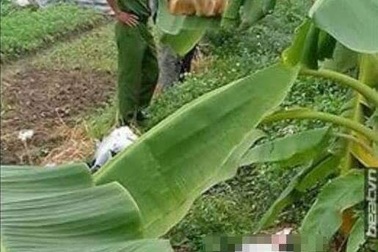 Phát hiện cô gái trẻ tử vong ở bụi cỏ