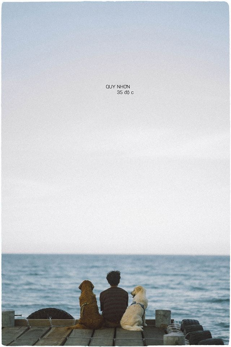 Phú Yên đẹp mê li qua lăng kính của nhiếp ảnh gia trẻ và 2 chú chó cưng - 5