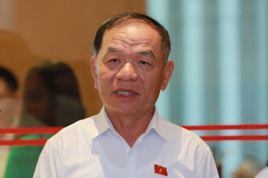 Đại biểu Lê Thanh Vân: "Lịch sử là gốc rễ của giáo dục, sao bỏ được!"