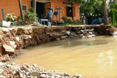 TPHCM: Kiến nghị xây dựng hệ thống cảnh báo sóng thần 