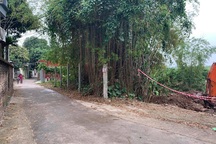 Đất Đông Anh tăng giá chóng mặt với quy hoạch phân khu đô thị sông Hồng