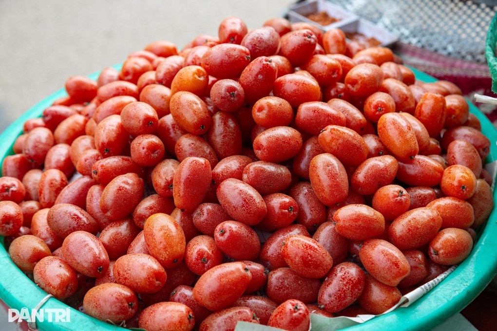 Nhót chín vỉa hè 100.000 đồng/kg, chủ vườn hái từng trái nâng như trứng - 3 Nhót chín vỉa hè 100.000 đồng/kg, chủ vườn hái từng trái nâng như trứng - 3