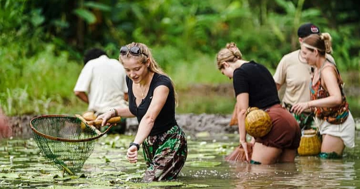 Với tour dài 4,5 tiếng chi phí 1,1 triệu đồng, du khách được trải nghiệm học cấy lúa, bắt cá bằng nơm, cho trâu ăn (Ảnh: Nguyễn Đình Hưng).