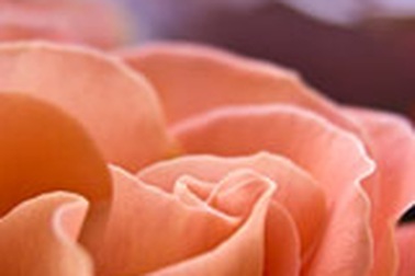 Collagen - Thần dược trẻ trung