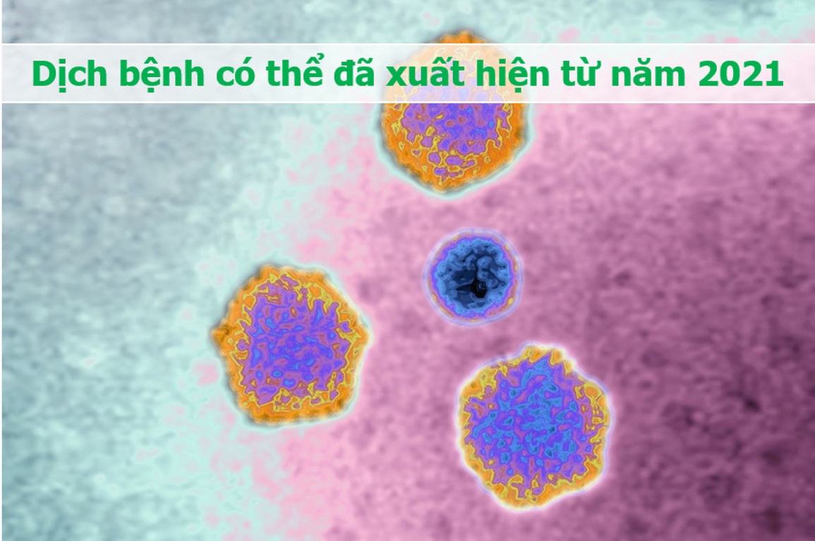 Thông tin bất ngờ về nguồn gốc của dịch viêm gan bí ẩn - 1 Thông tin bất ngờ về nguồn gốc của dịch viêm gan bí ẩn - 1