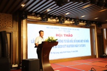 Nghiên cứu, bổ sung nhiều quy định về bảo hiểm thất nghiệp