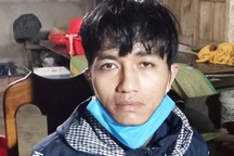 Trộm 9 củ sâm Ngọc Linh, bị bắt khi đang trốn truy nã